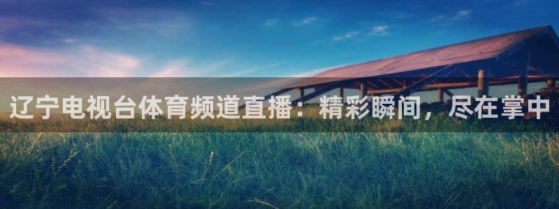 辽宁电视台体育频道直播：精彩瞬间，尽在掌中