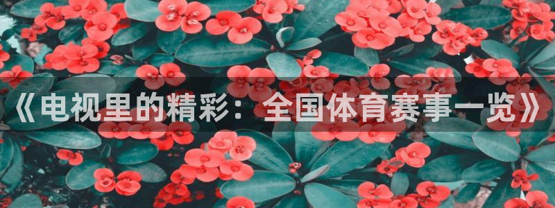 《电视里的精彩：全国体育赛事一览》