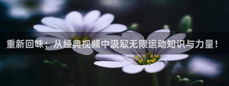重新回味：从经典视频中汲取无限运动知识与力量！